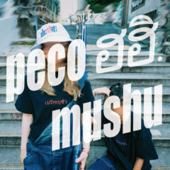 タイにハマるあなたに  〜タイが今熱い理由〜