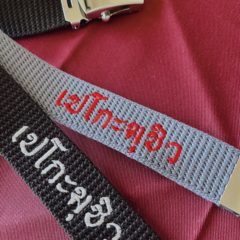 ムエタイジャンキー×ペコムシュ